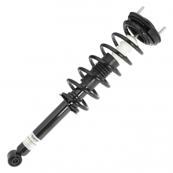 Suspension Strut and Coil Spring Assembly