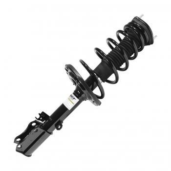 Suspension Strut and Coil Spring Assembly