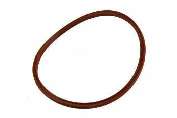 Fuel Filter O-Ring