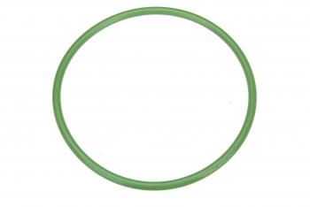 Fuel Pump O-Ring