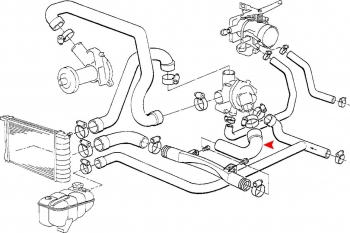 Radiator Coolant Hose