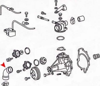 Radiator Coolant Hose