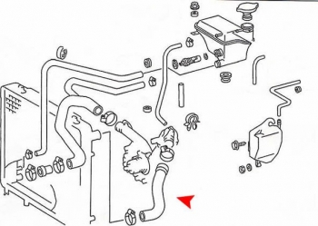Radiator Coolant Hose