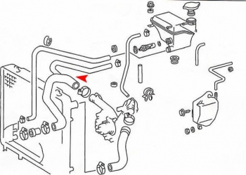 Radiator Coolant Hose