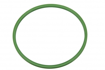 Fuel Filter O-Ring