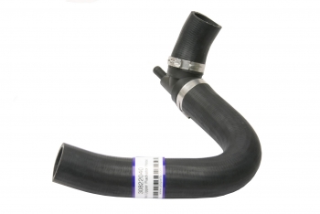 Radiator Coolant Hose