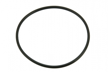 Fuel Pump O-Ring