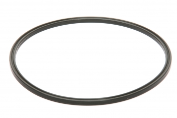 Fuel Pump O-Ring