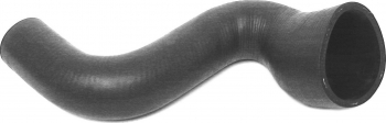 Radiator Coolant Hose