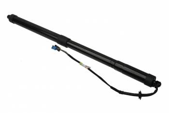 Trunk Lid Lift Support