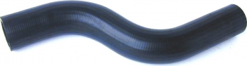 Radiator Coolant Hose