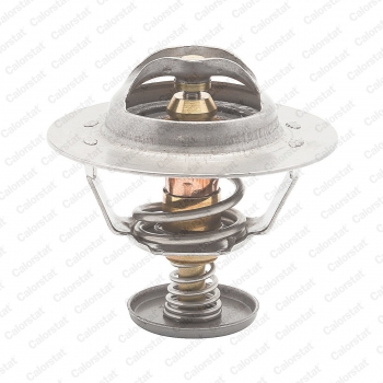 Engine Coolant Thermostat