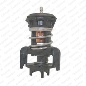 Engine Coolant Thermostat
