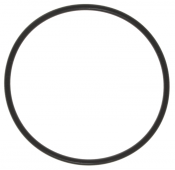 Engine Coolant Thermostat Seal