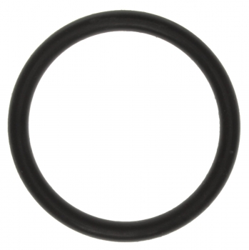 Engine Coolant Outlet O-Ring