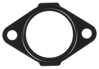 Engine Water Pump Gasket