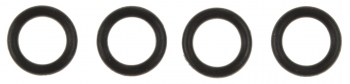 Fuel Injector O-Ring Kit