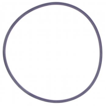 Engine Water Pump Gasket