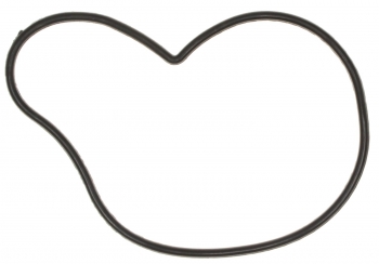 Engine Water Pump Gasket