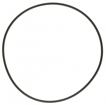 Engine Water Pump Backing Plate Gasket