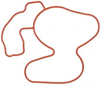 Engine Water Pump Gasket