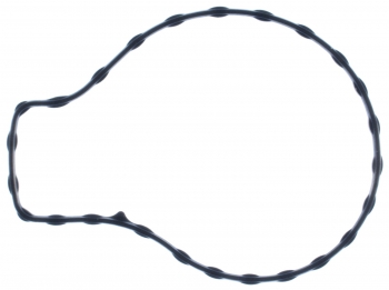 Engine Water Pump Gasket