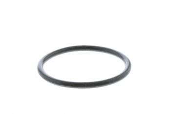 Engine Coolant Thermostat