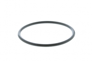 Engine Coolant Thermostat