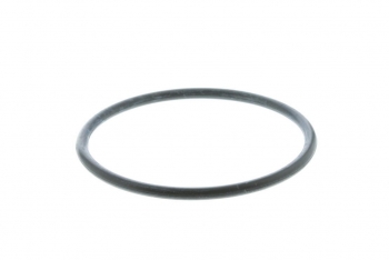 Engine Coolant Thermostat
