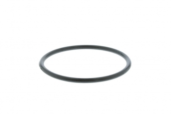 Engine Coolant Thermostat