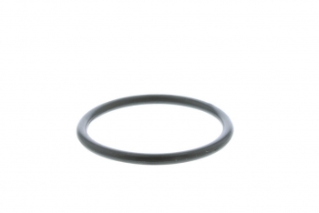 Engine Coolant Thermostat