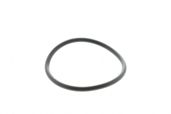 Engine Coolant Thermostat