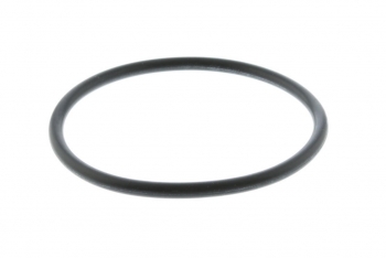 Engine Coolant Thermostat