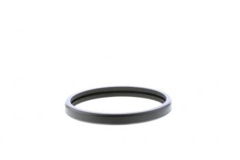 Engine Coolant Thermostat