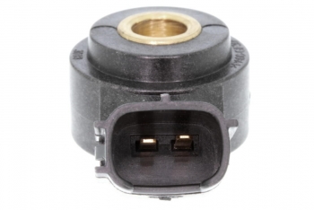 Ignition Knock (Detonation) Sensor
