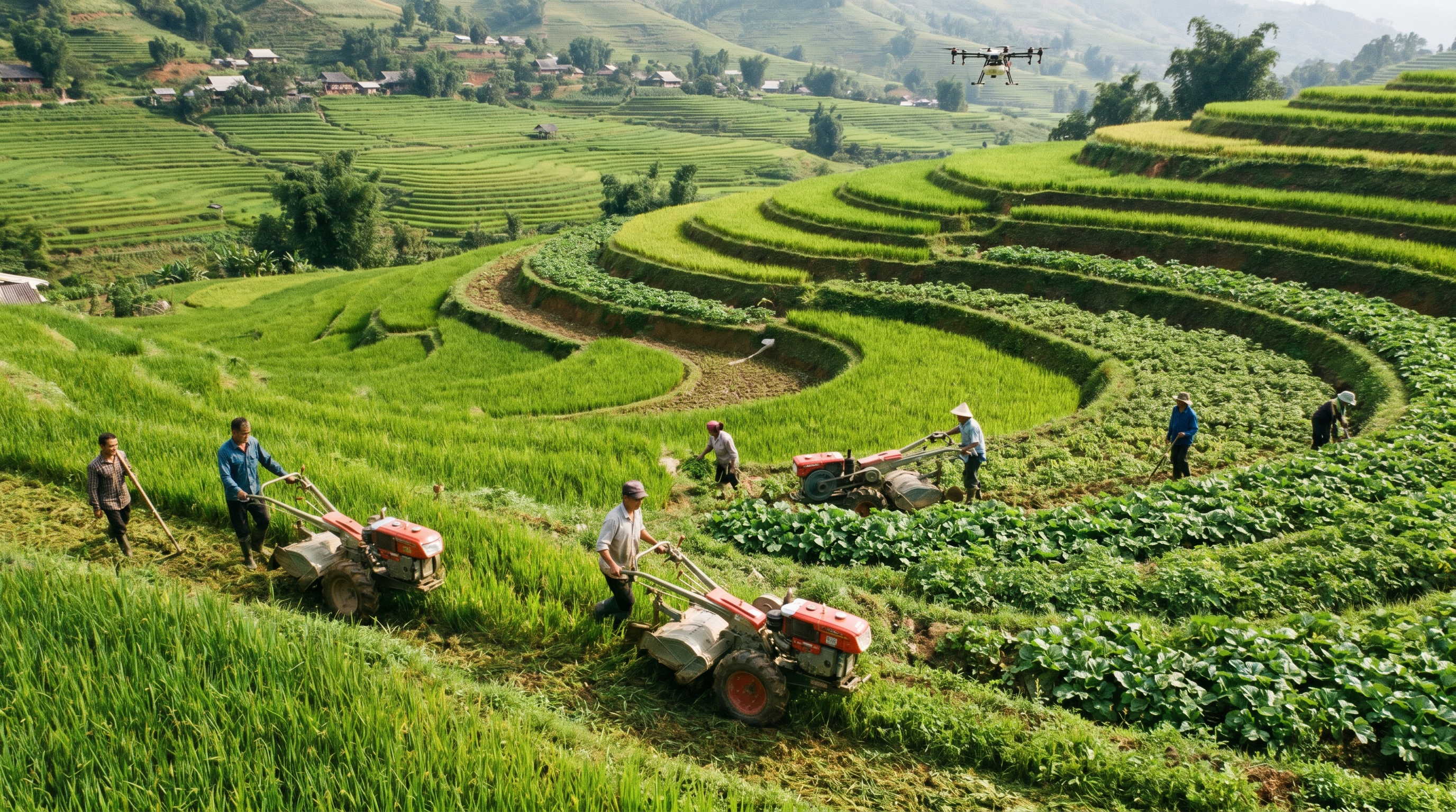 $35M Food for Progress Grant Opens Doors for Agricultural Development Projects