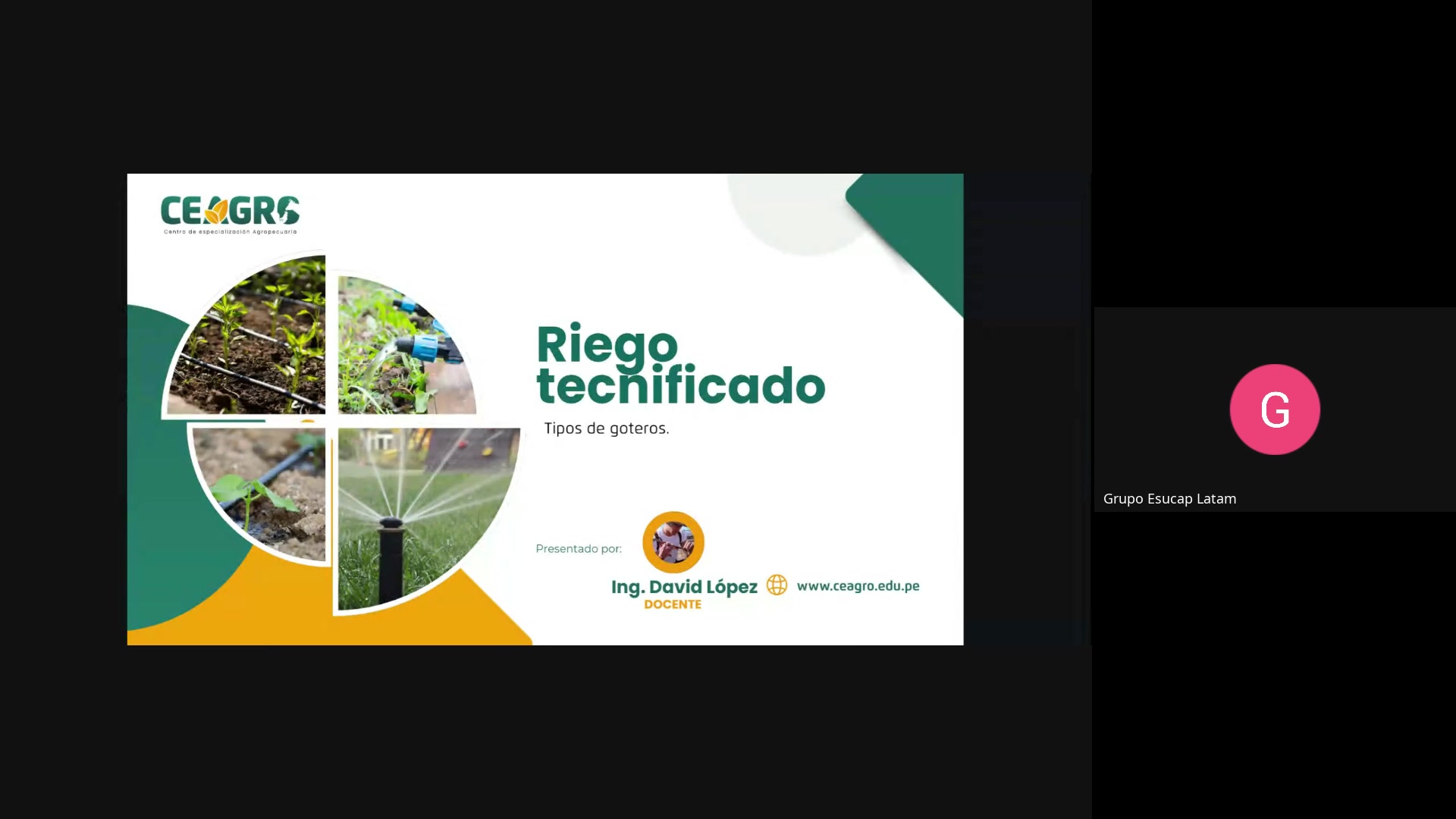 Riego por goteo: Tipos de Goteros