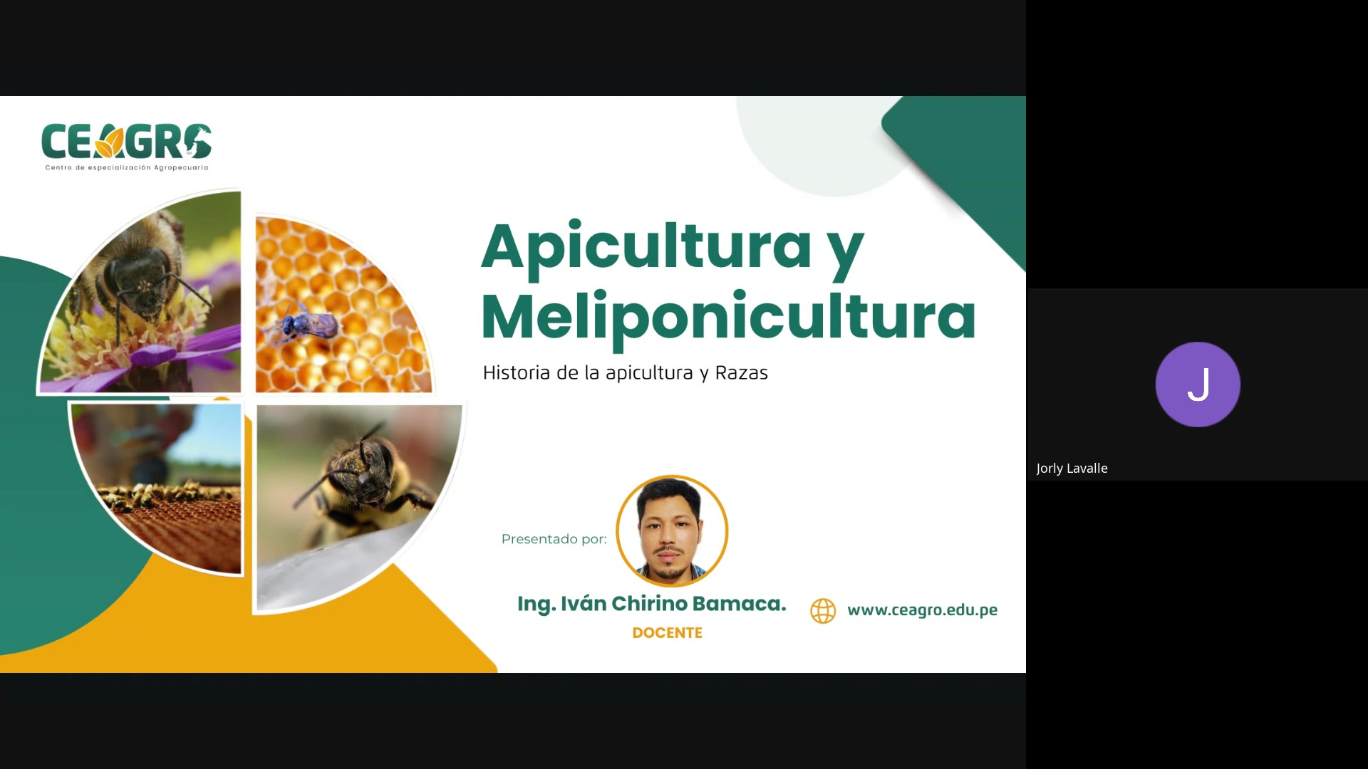 Historia de la apicultura y razas de abejas