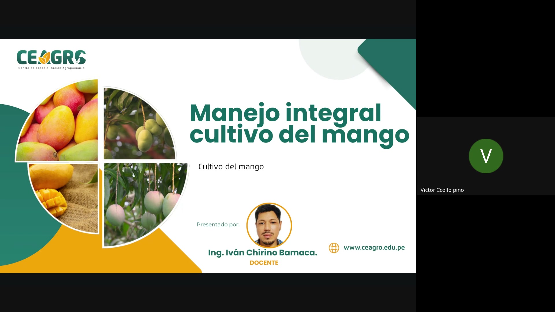 Manejo del cultivo de mango