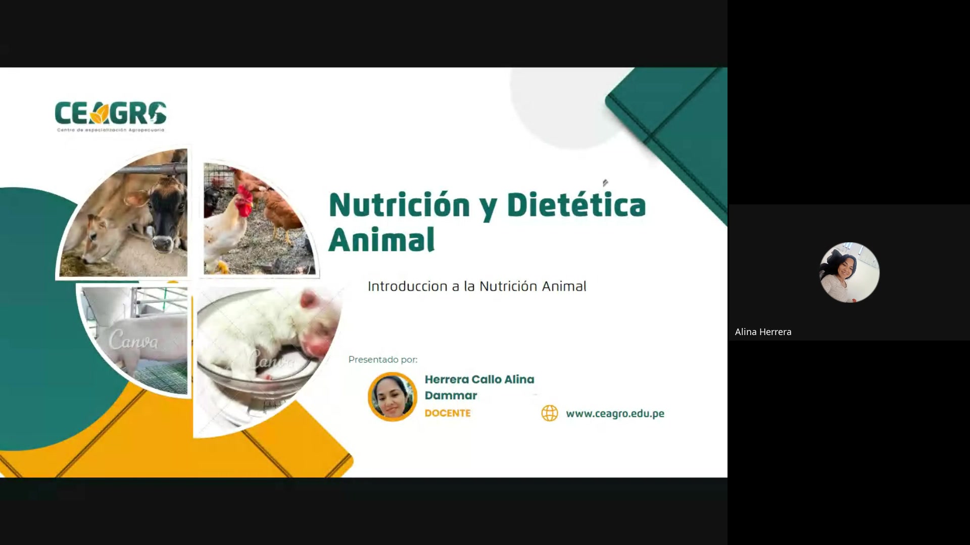 CONCEPTOS BASICOS DE LA NUTRICION 