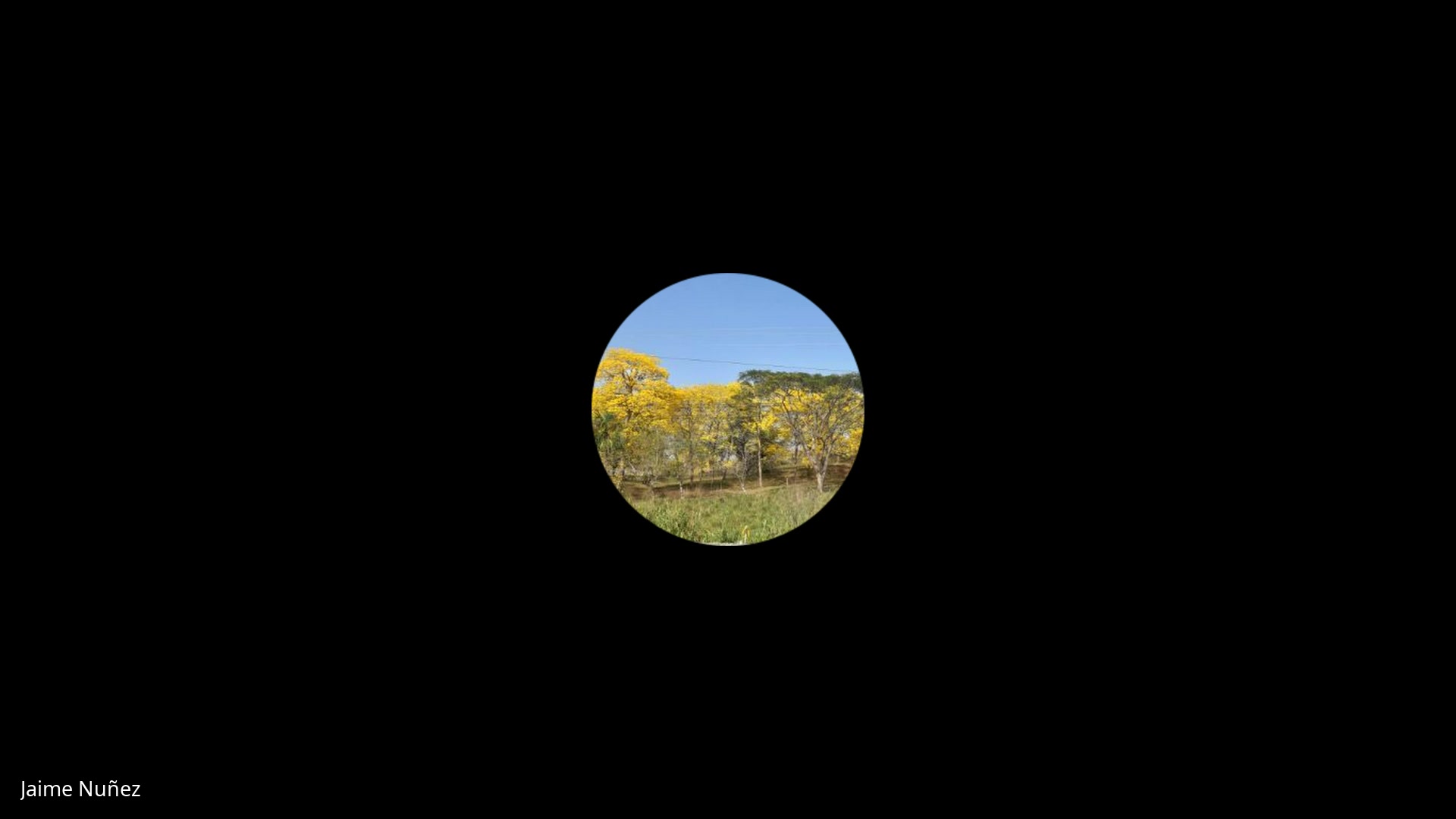 Sanidad apícola Control y manejo de la Varrosis