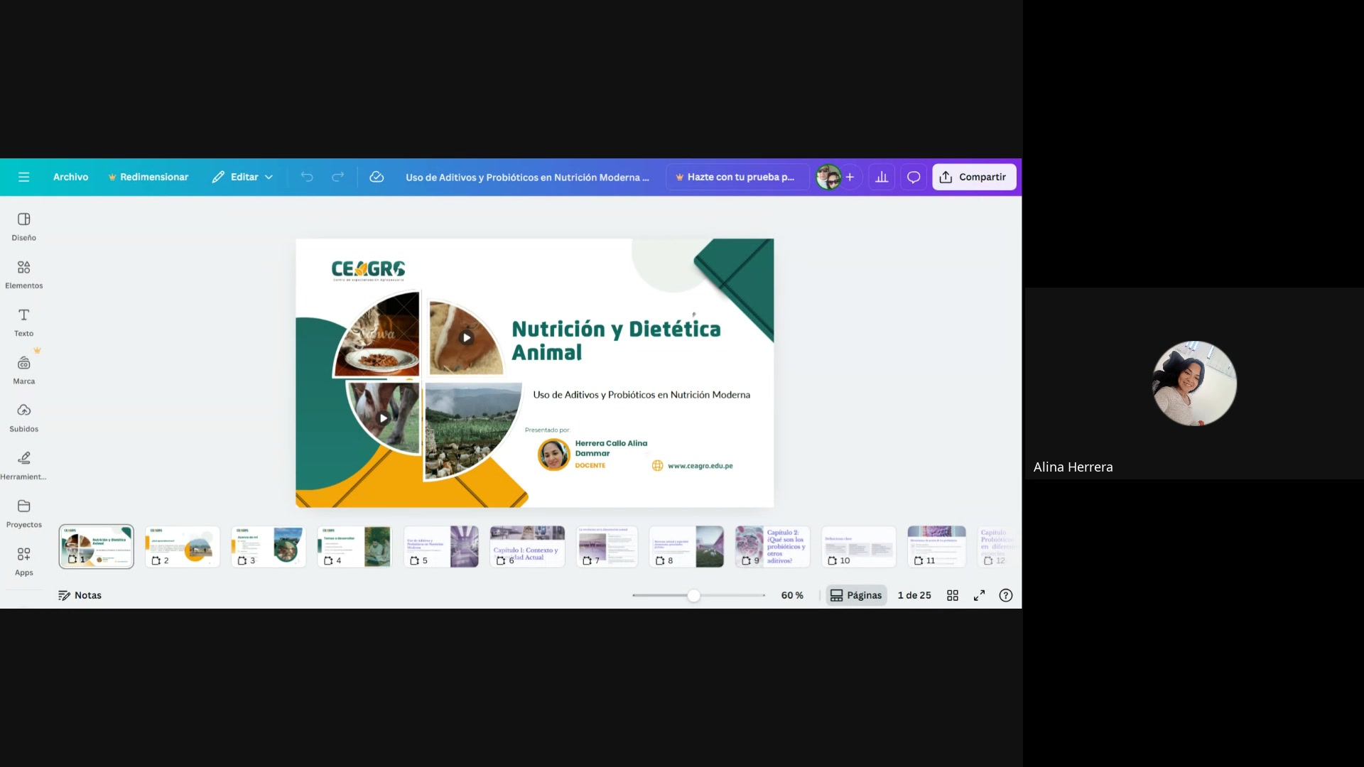 Uso de aditivos y probi&oacute;ticos en nutrici&oacute;n moderna