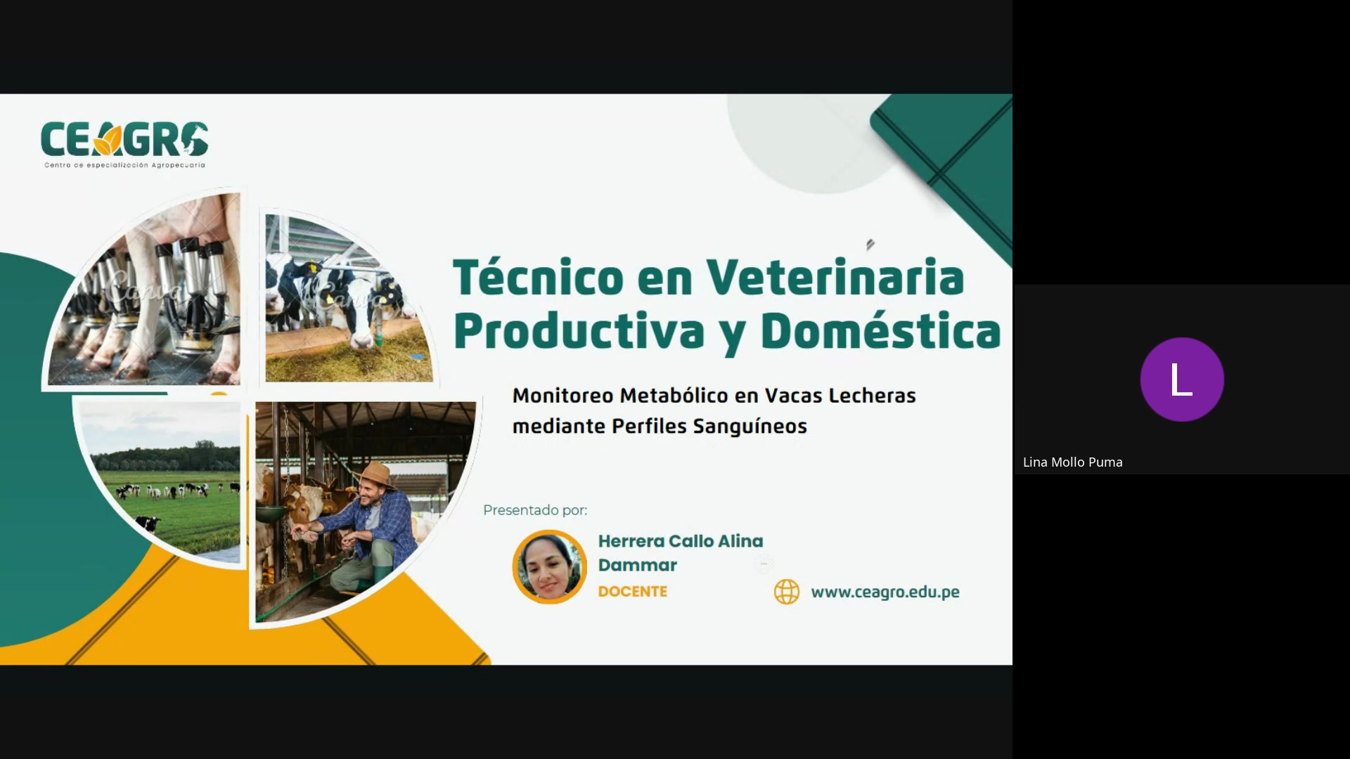 Monitoreo metab&oacute;lico en vacas lecheras mediante perfiles sangu&iacute;neos