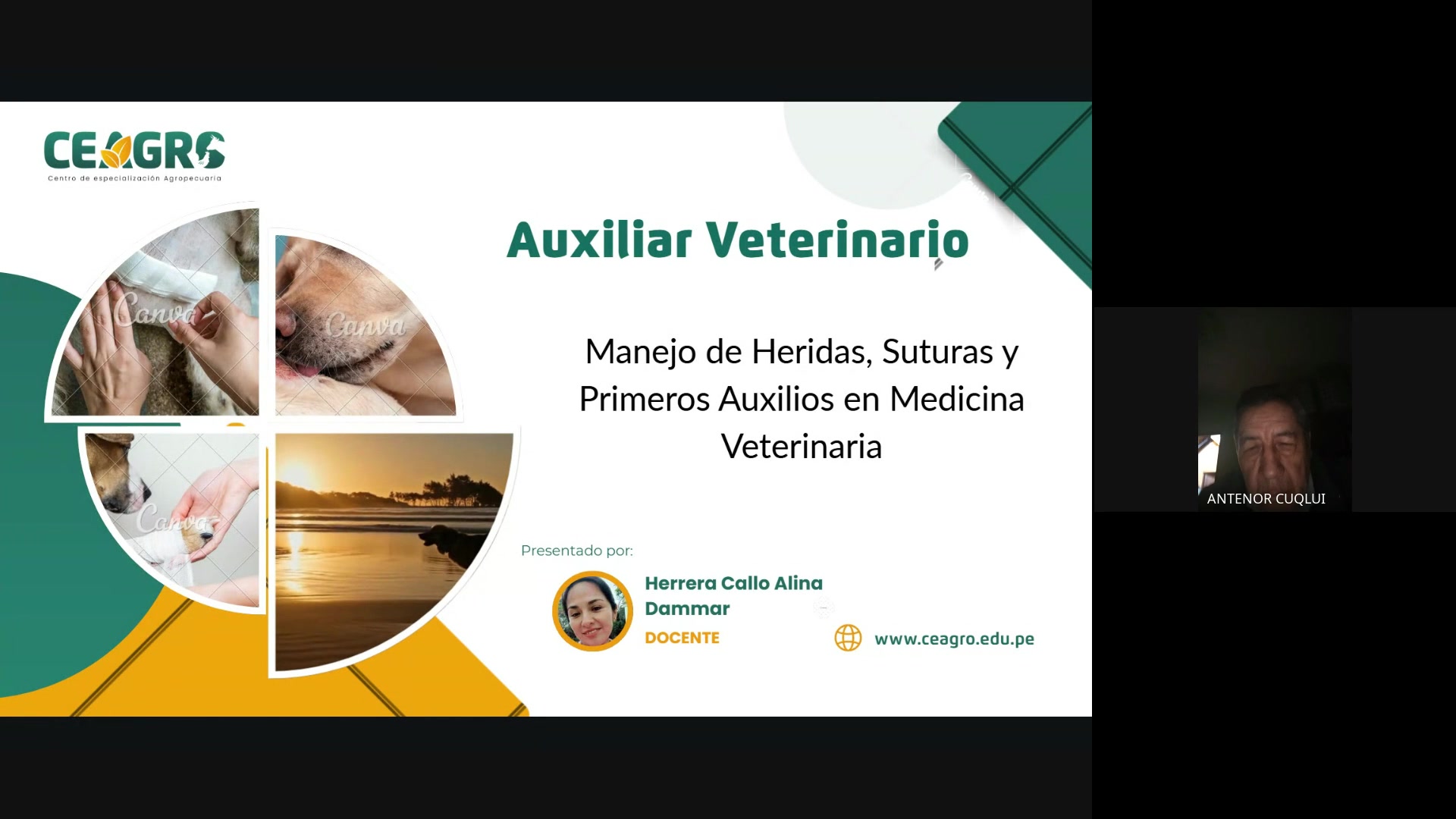 Manejo de heridas, suturas y primeros auxilios