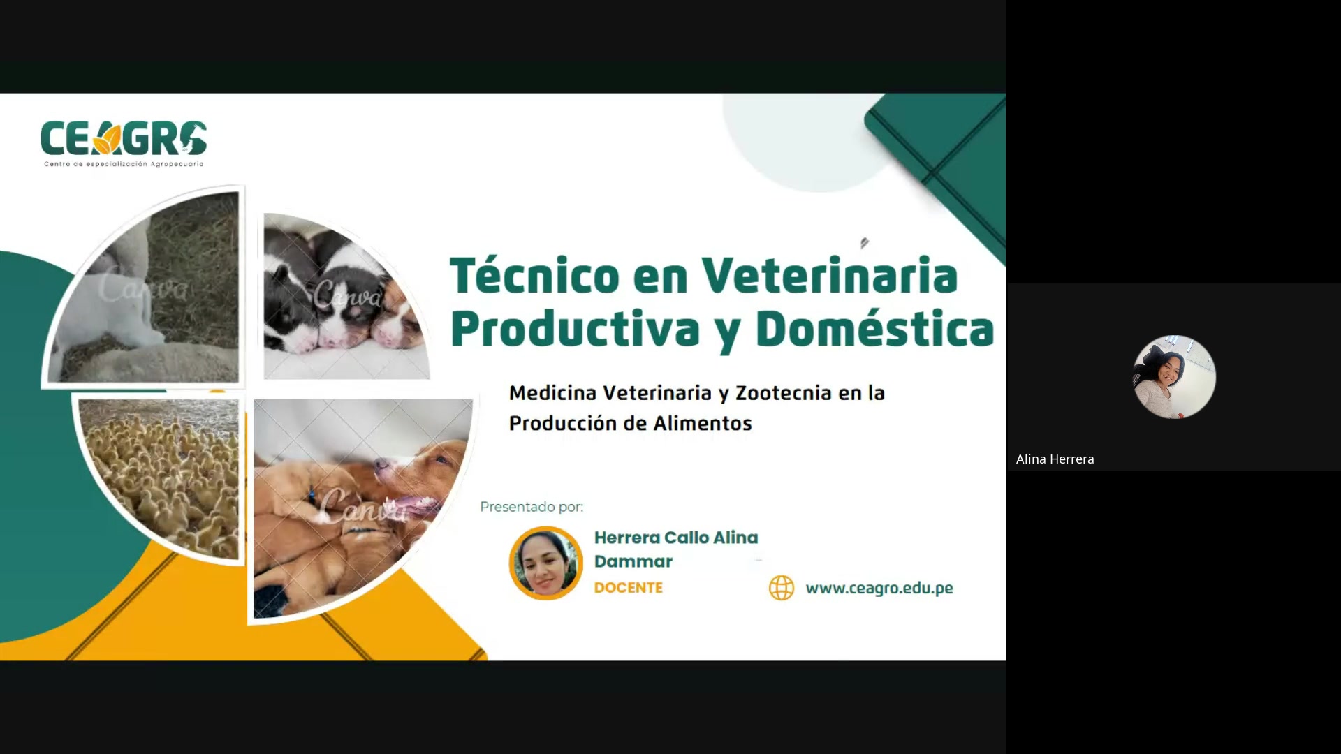 INTRODUCCION A LA MEDICINA VETERINARIA
