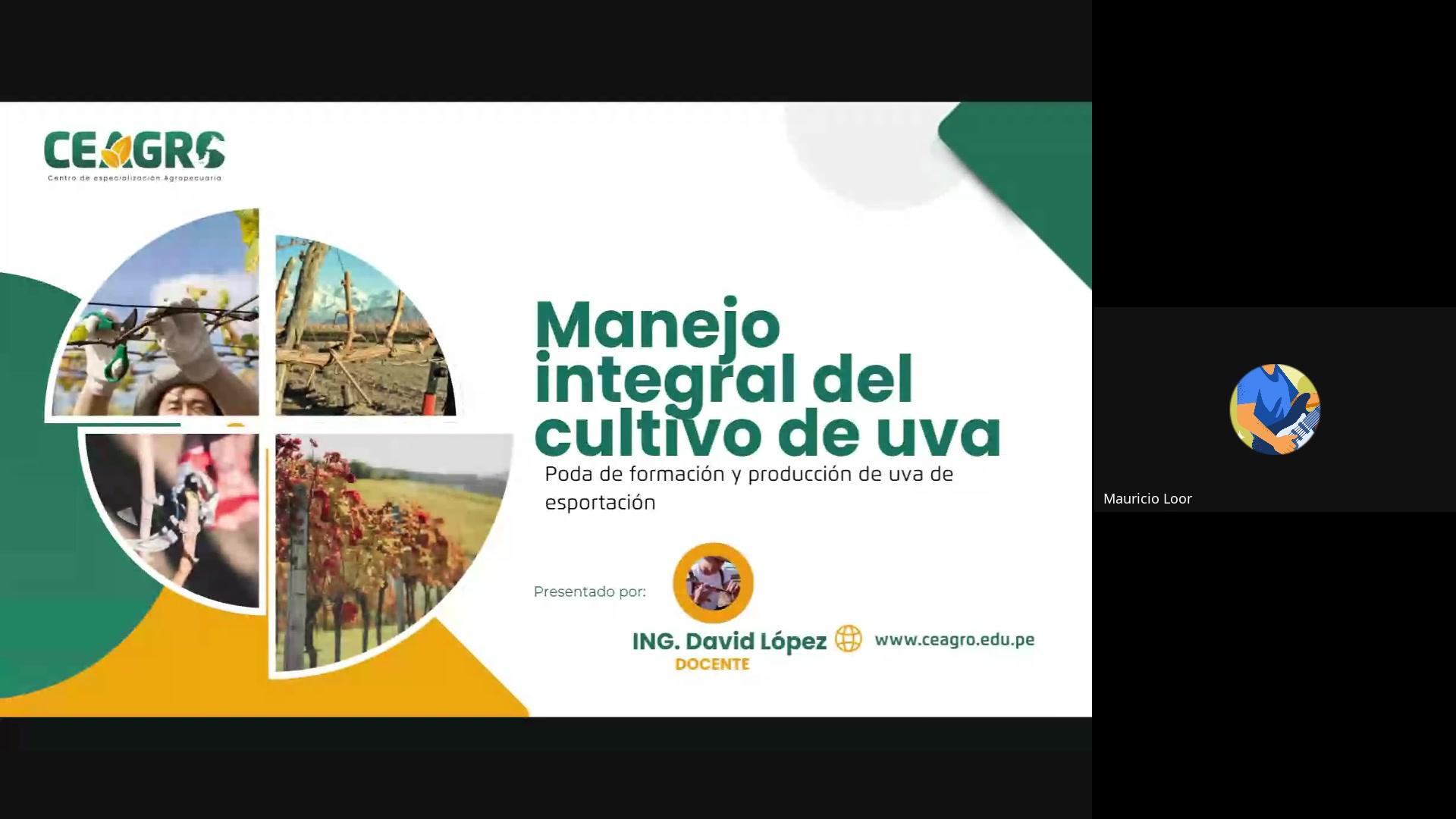 Poda de formaci&oacute;n y producci&oacute;n en uva de exportaci&oacute;n