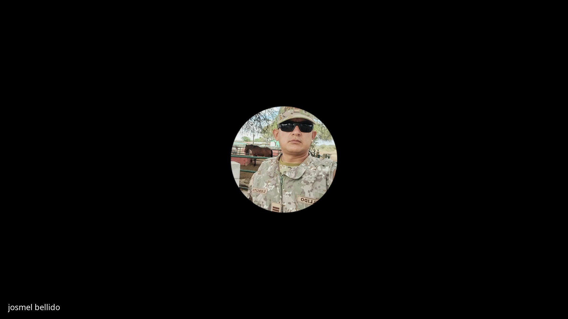 Diagn&oacute;stico de patolog&iacute;as uterinas: Endometritis y piometras