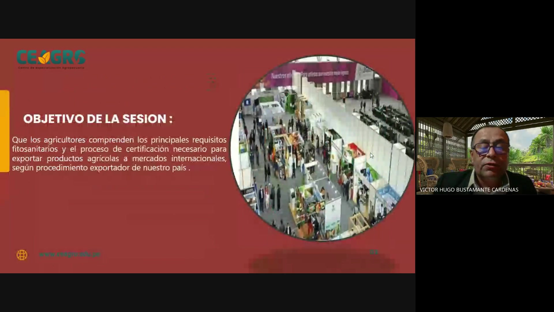 Requisitos fitosanitarios y certificaciones para mercados internacionales