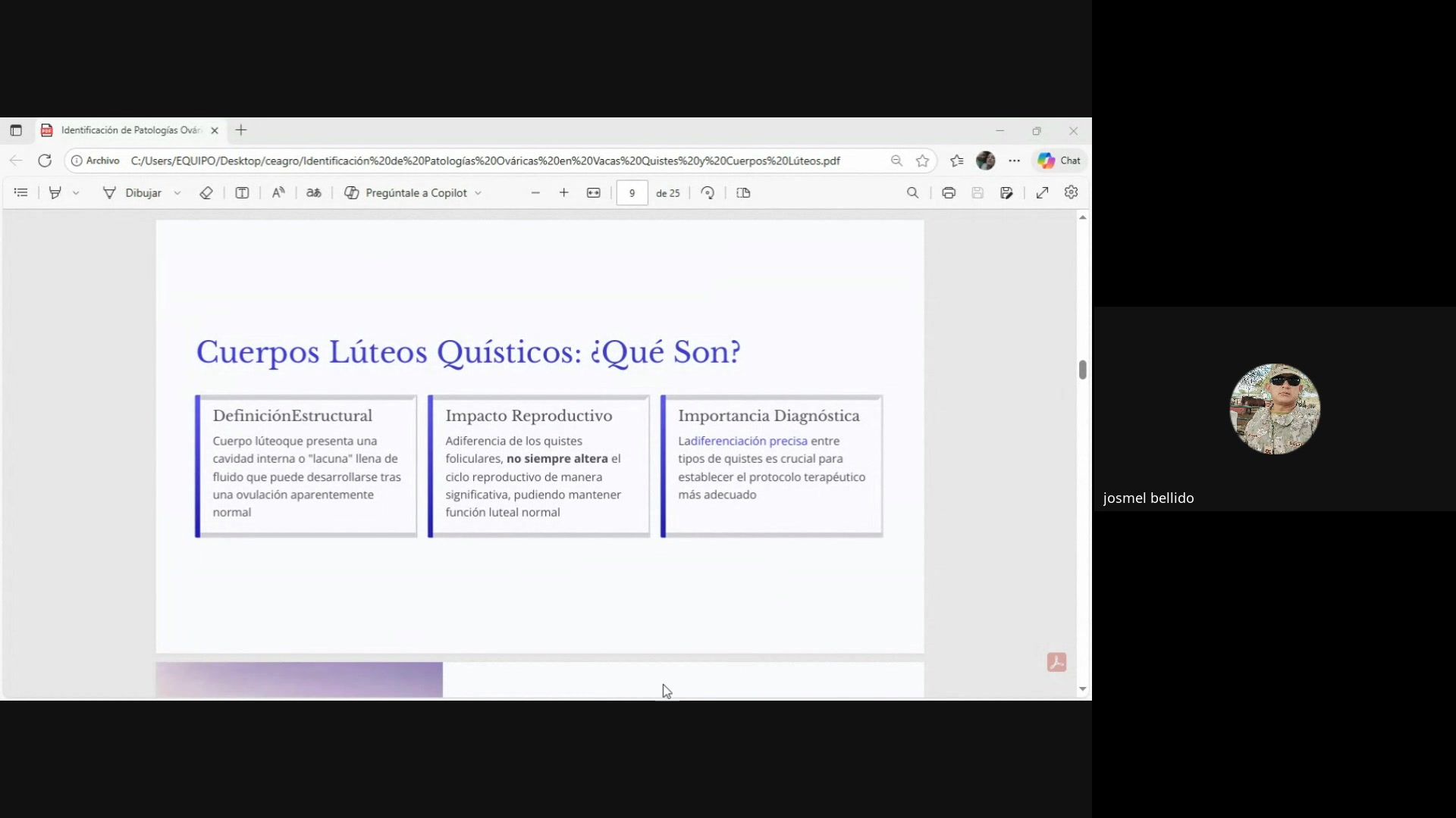 Identificaci&oacute;n de patolog&iacute;as ov&aacute;ricas (Quistes y cuerpos l&uacute;teos)