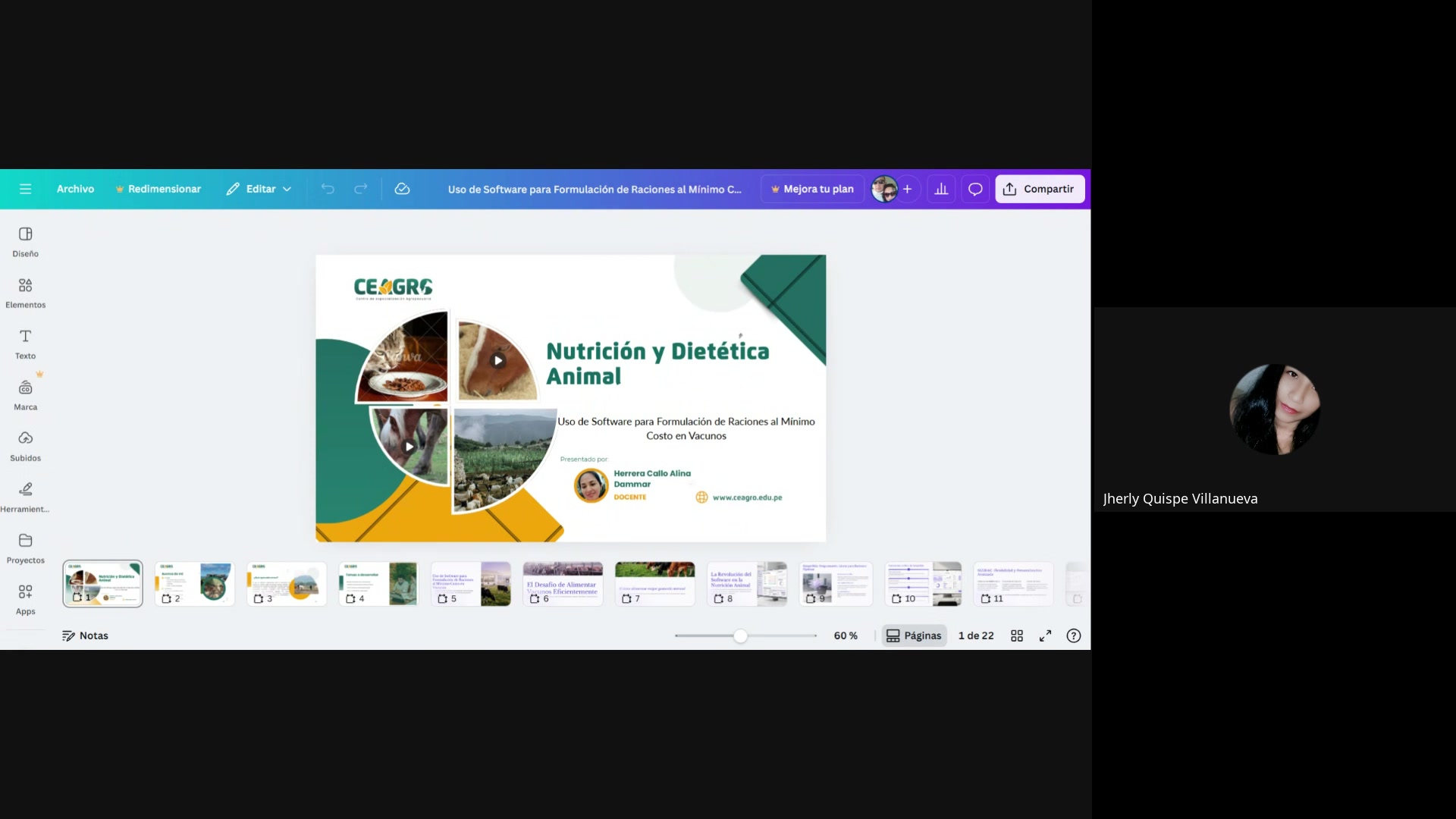 Uso de software para formulaci&oacute;n de raciones al m&iacute;nimo costo